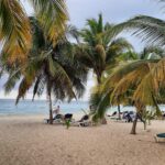 486874863 1198931478906556 1936371316679406492 N 486874863 1198931478906556 1936371316679406492 N