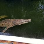 492849594 1230220605777643 5140842993383968739 N 492849594 1230220605777643 5140842993383968739 N