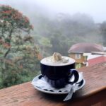 493561712 1229638969169140 5186927138515594385 N 493561712 1229638969169140 5186927138515594385 N