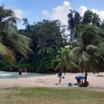 494702750 1234622652004105 3530349981338362714 N 494702750 1234622652004105 3530349981338362714 N