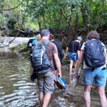 494927969 1234570462009324 3692803935143412672 N 494927969 1234570462009324 3692803935143412672 N