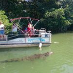 84337687 118695343006097 7420290116830101504 N 84337687 118695343006097 7420290116830101504 N