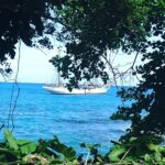 86796531 131737978368500 462016619942510592 N 86796531 131737978368500 462016619942510592 N