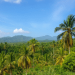 ChatGPT Image 6. Sept. 2025, 08 52 34 ChatGPT Image 6. Sept. 2025, 08 52 34