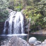 IMG 20230306 153948 IMG 20230306 153948