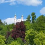 IMG 20240519 132115 IMG 20240519 132115