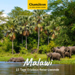 Malawi Erlebnis Reise Liwonde