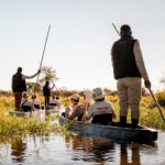 Social Media Vorschau Botswana