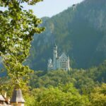 509263618 10233713486291512 5982851388990385759 N1